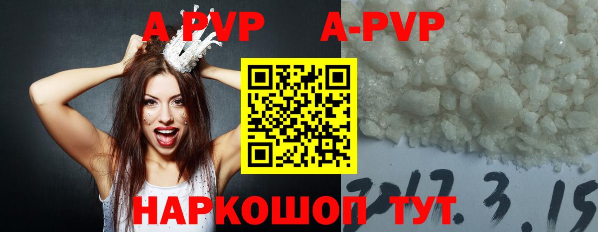 A PVP СК КРИС Электросталь