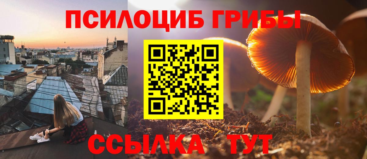 Псилоцибиновые грибы Magic Shrooms  Вход с VPN  Электросталь  Псилоцибиновые грибы GOLDEN TEACHER 